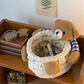 Bear-y Aesthetic Organizer