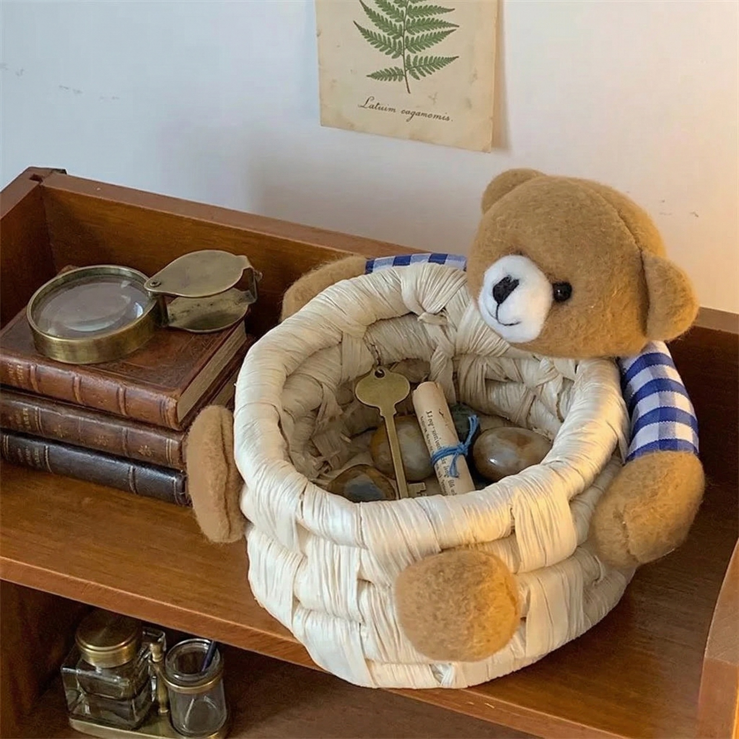 Bear-y Aesthetic Organizer